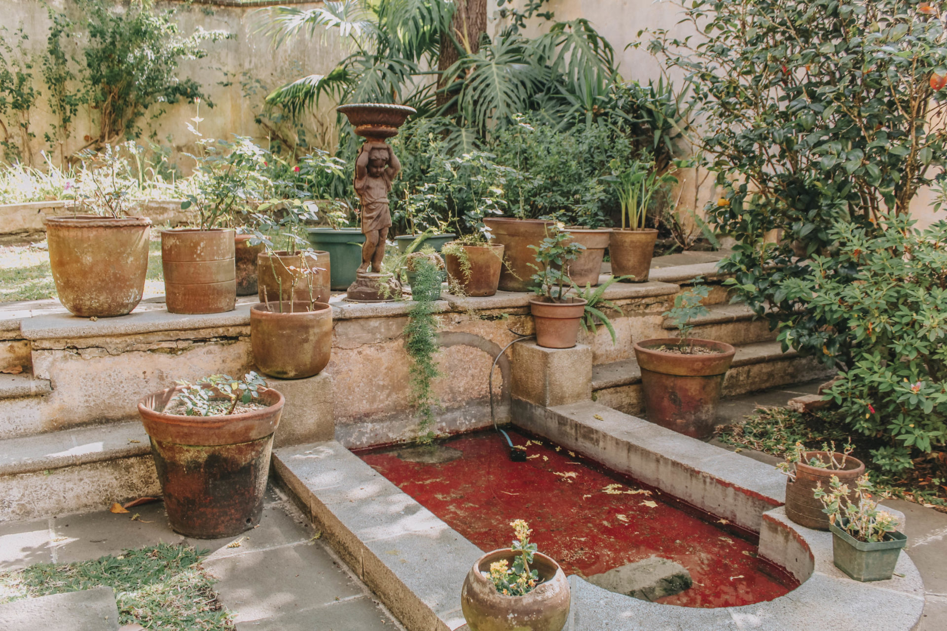 casa carmel outdoor patio